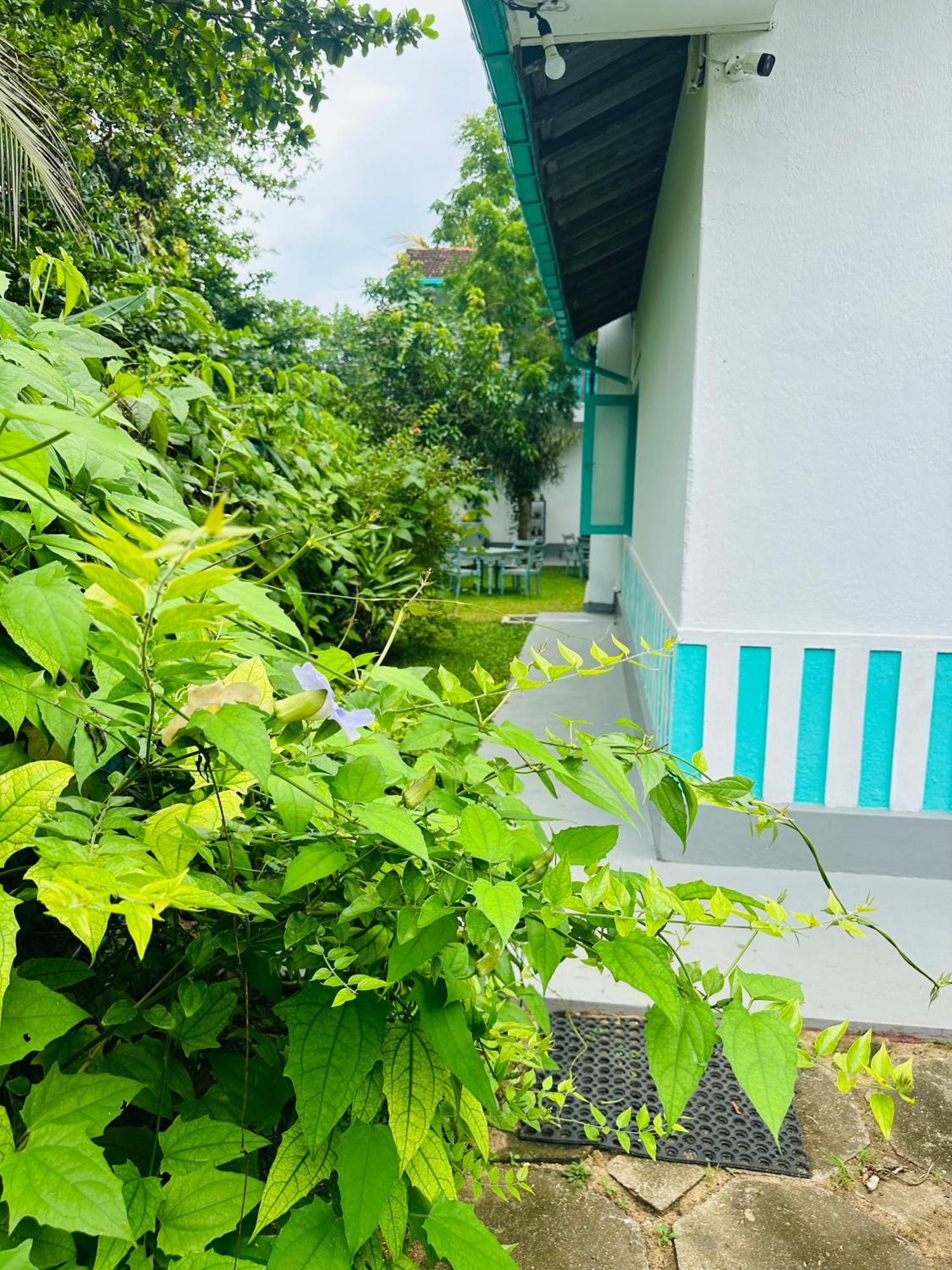 Villa 47 Hikkaduwa Dış mekan fotoğraf
